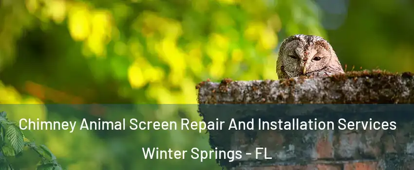  Chimney Animal Screen Repair And Installation Services Winter Springs - FL