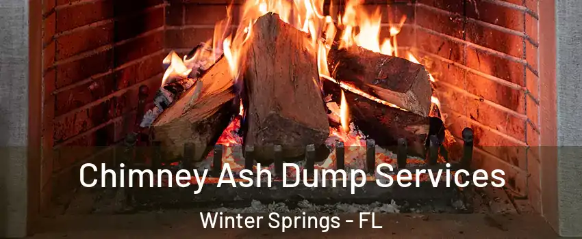  Chimney Ash Dump Services Winter Springs - FL
