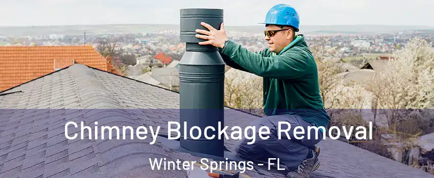  Chimney Blockage Removal Winter Springs - FL