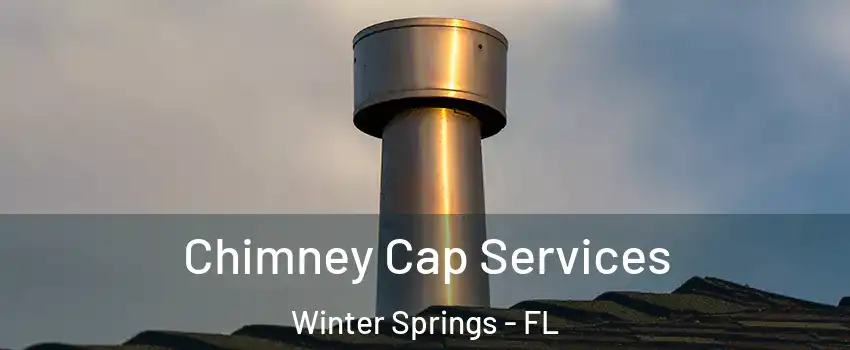  Chimney Cap Services Winter Springs - FL