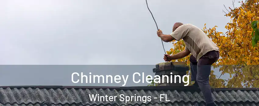  Chimney Cleaning Winter Springs - FL