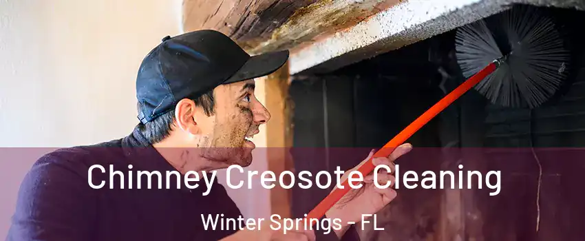  Chimney Creosote Cleaning Winter Springs - FL