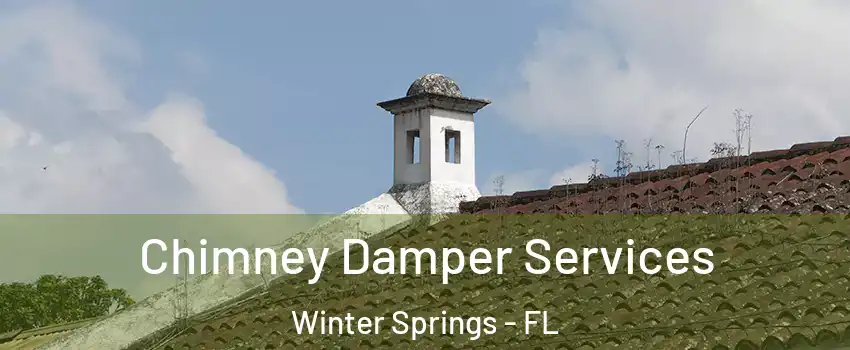  Chimney Damper Services Winter Springs - FL