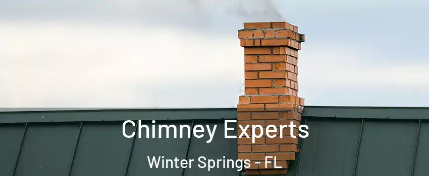Chimney Experts Winter Springs - FL
