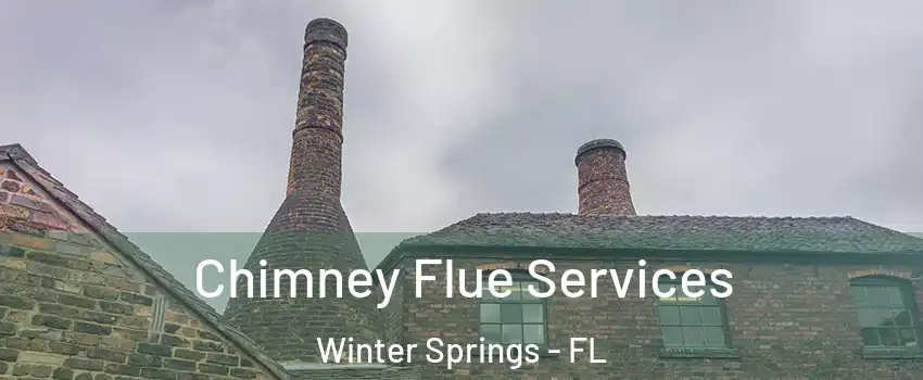  Chimney Flue Services Winter Springs - FL