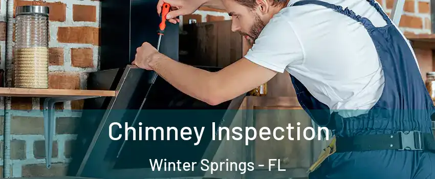  Chimney Inspection Winter Springs - FL