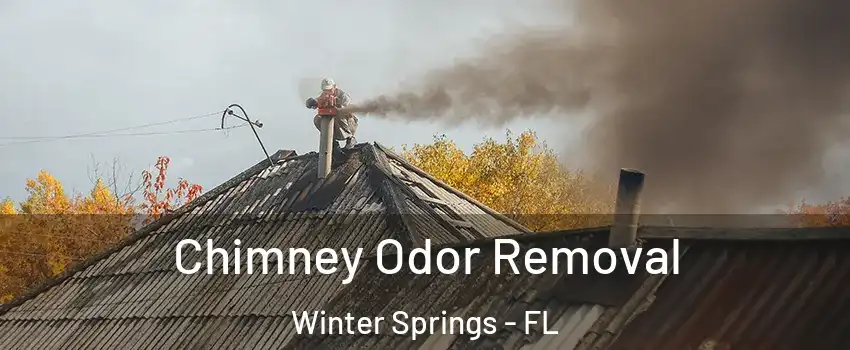  Chimney Odor Removal Winter Springs - FL