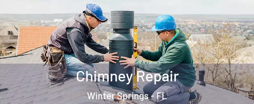  Chimney Repair Winter Springs - FL