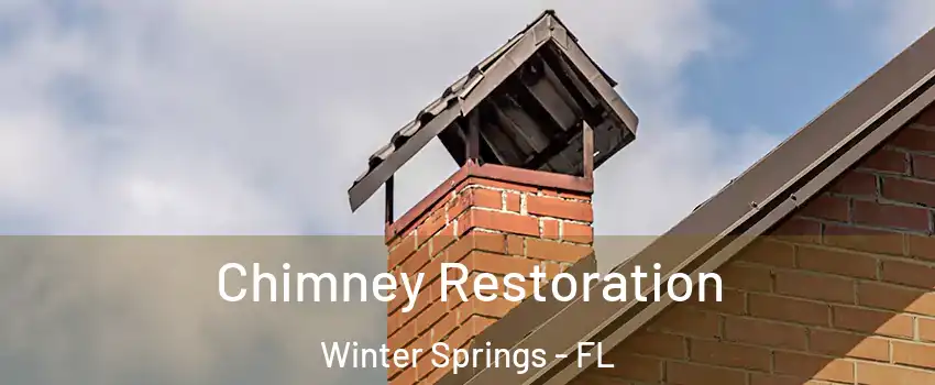  Chimney Restoration Winter Springs - FL