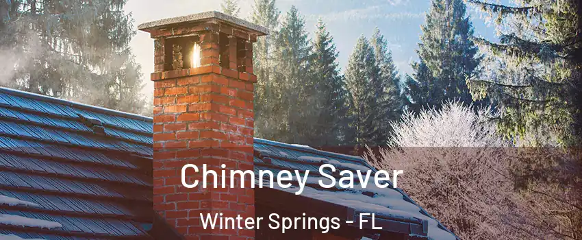  Chimney Saver Winter Springs - FL