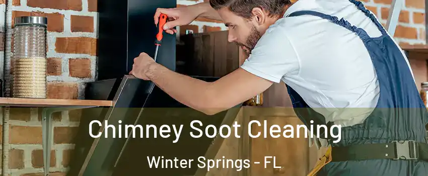  Chimney Soot Cleaning Winter Springs - FL