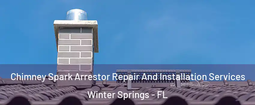 Chimney Spark Arrestor Repair And Installation Services Winter Springs - FL