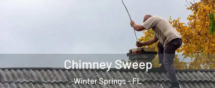 Chimney Sweep Winter Springs - FL