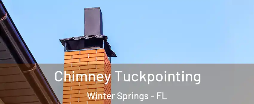  Chimney Tuckpointing Winter Springs - FL