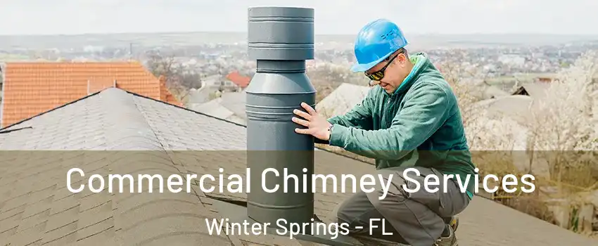  Commercial Chimney Services Winter Springs - FL