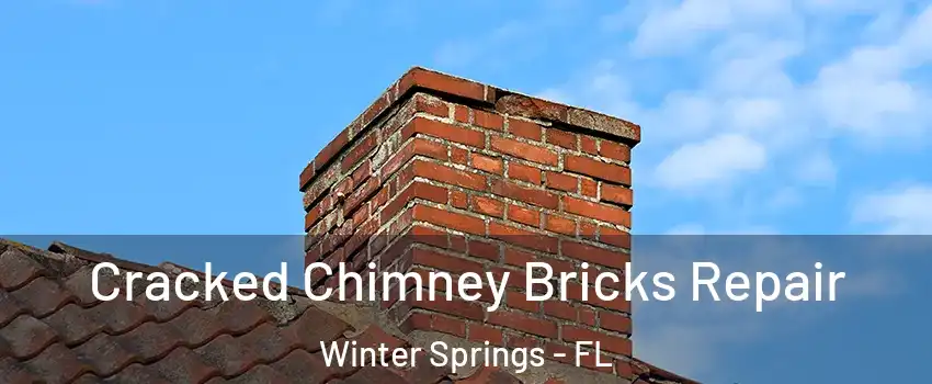  Cracked Chimney Bricks Repair Winter Springs - FL