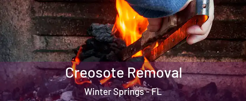  Creosote Removal Winter Springs - FL