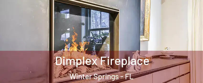  Dimplex Fireplace Winter Springs - FL