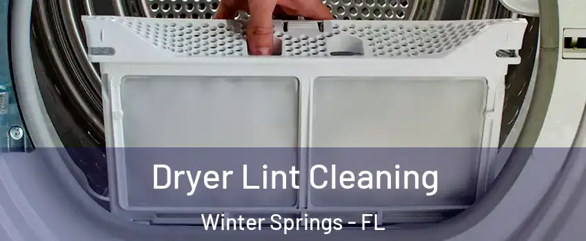  Dryer Lint Cleaning Winter Springs - FL