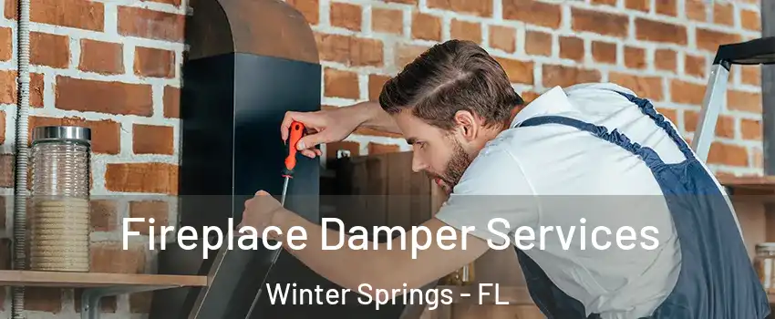  Fireplace Damper Services Winter Springs - FL