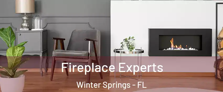  Fireplace Experts Winter Springs - FL
