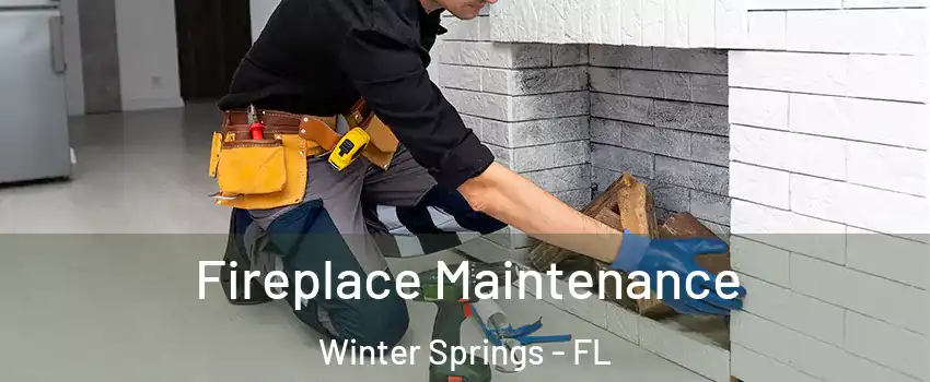  Fireplace Maintenance Winter Springs - FL