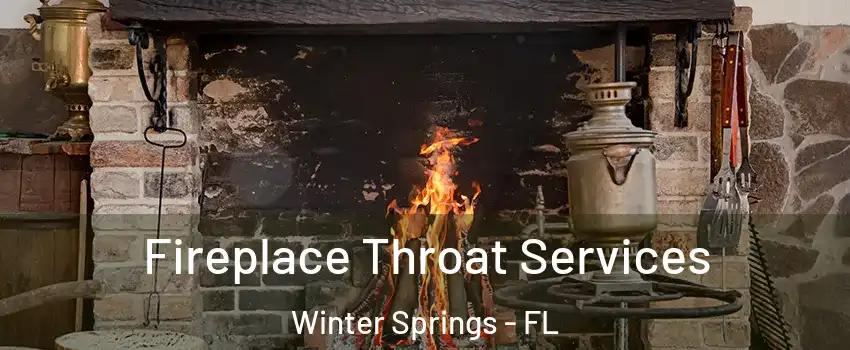  Fireplace Throat Services Winter Springs - FL
