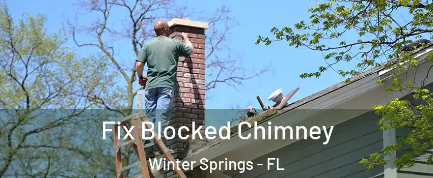  Fix Blocked Chimney Winter Springs - FL