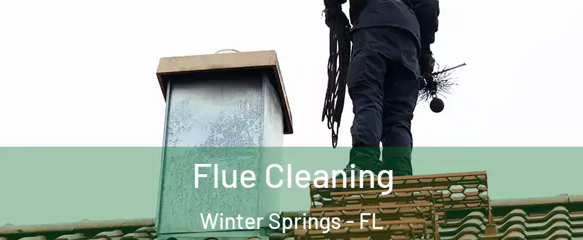  Flue Cleaning Winter Springs - FL