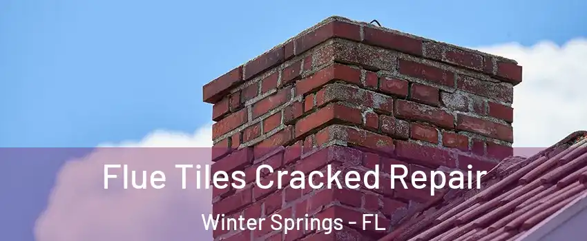  Flue Tiles Cracked Repair Winter Springs - FL