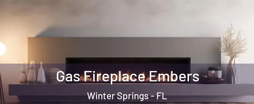  Gas Fireplace Embers Winter Springs - FL