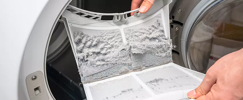 Best Dryer Lint Removal Company in Winter Springs, Florida