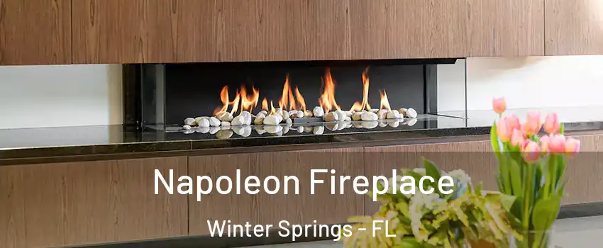  Napoleon Fireplace Winter Springs - FL