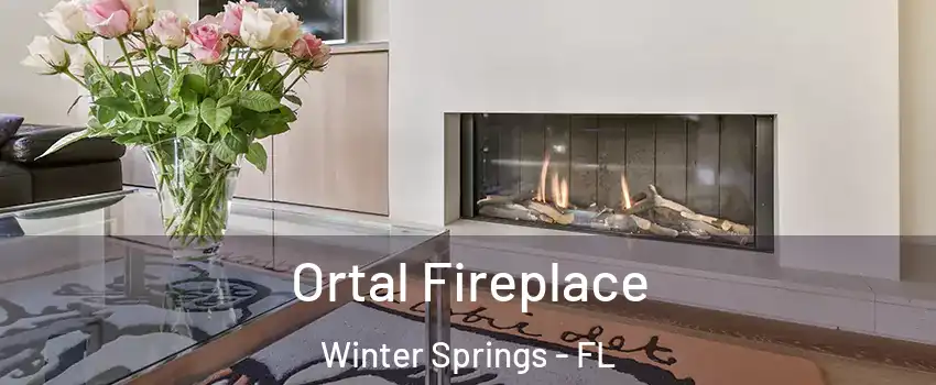  Ortal Fireplace Winter Springs - FL