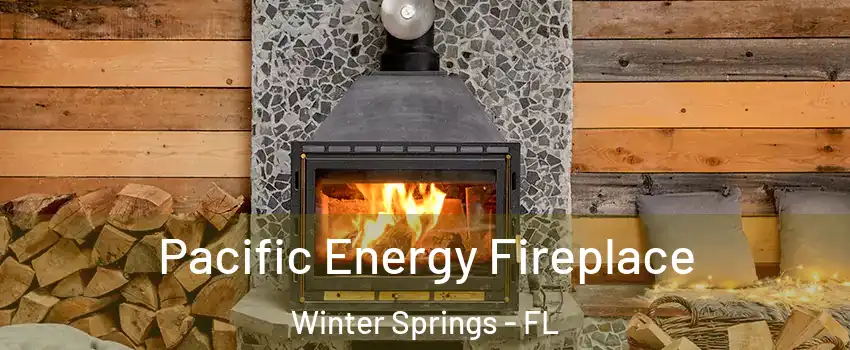  Pacific Energy Fireplace Winter Springs - FL